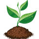 Arbol_Logo – Tipo Dibujo Arbol_Logo - Tipo Dibujo